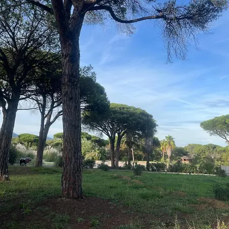 Vacation Home Near Saint Tropez
